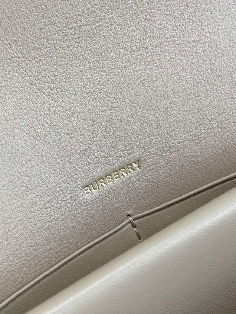 Burberry巴寶莉 最新TB繫列風琴信封包杏色￥1480.00的图片-高仿博柏利包包Burberry巴寶莉、高仿博柏利女包Burberry巴寶莉