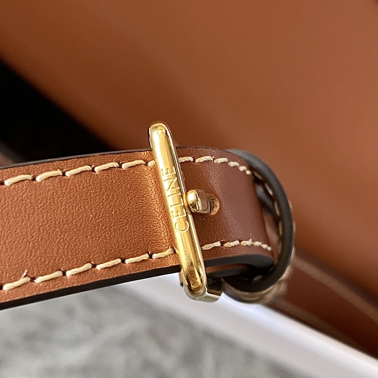 高仿CELINE TRIOMPHE CANVAS馬鞍郵差包 199106老花￥1580.00的图片-高仿賽琳包包CELINE