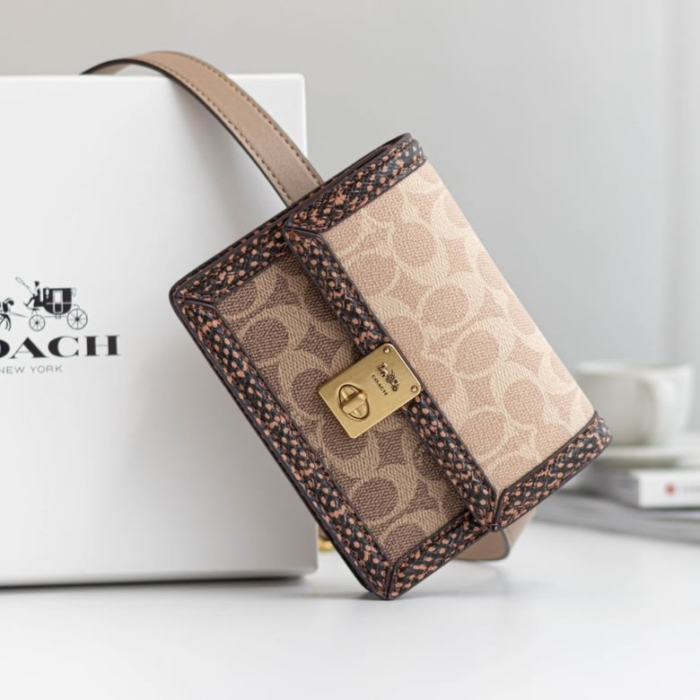 原單寇馳新款寇馳coach女包永恆經典的Hutton成為現代的標誌杏色¥1580.00的图片-高仿蔻馳包包coach 原單寇馳新款寇馳coach女包永恆經典的Hutton成為現代的標誌杏色¥1580.00的图片-高仿蔻馳包包coach