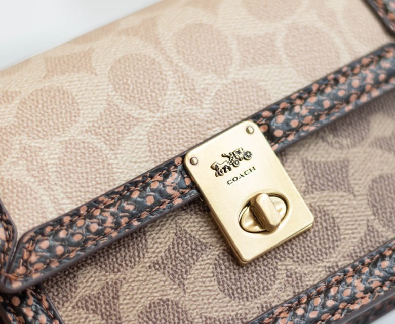 原單寇馳新款寇馳coach女包永恆經典的Hutton成為現代的標誌杏色¥1580.00的图片-高仿蔻馳包包coach 原單寇馳新款寇馳coach女包永恆經典的Hutton成為現代的標誌杏色¥1580.00的图片-高仿蔻馳包包coach