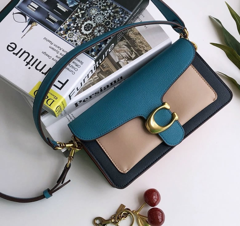 原單寇馳女手包coach73995/76105tabby酒神包￥1580.00的图片-高仿蔻馳包包coach