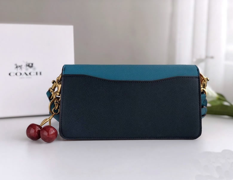 原單寇馳女手包coach73995/76105tabby酒神包￥1580.00的图片-高仿蔻馳包包coach