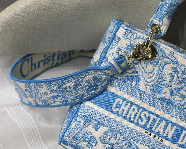 迪奧官網DIOR迪奧女包刺繡繫列藍老虎淺金 M8002¥1680.00的图片-高仿迪奧包包DIOR、高仿迪奧女包DIOR 迪奧官網DIOR迪奧女包刺繡繫列藍老虎淺金 M8002¥1680.00的图片-高仿迪奧包包DIOR、高仿迪奧女包DIOR