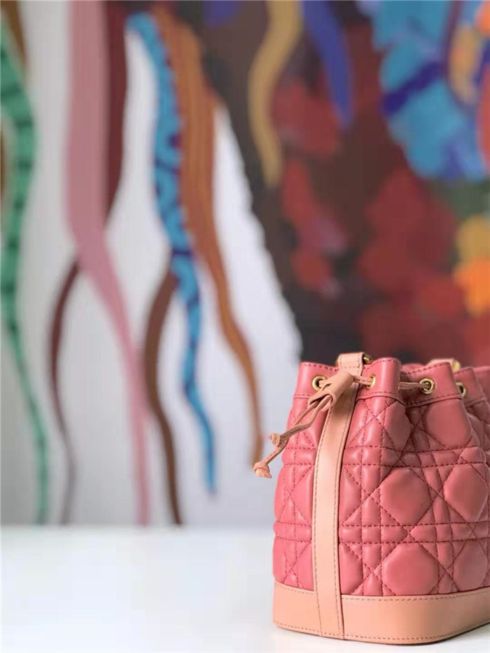 原單Dior迪奧女包復古小水桶包藤格紋牛皮抽繩mini迪奧水桶粉色M6016￥1980.00的图片-高仿迪奧包包DIOR、高仿迪奧女包DIOR