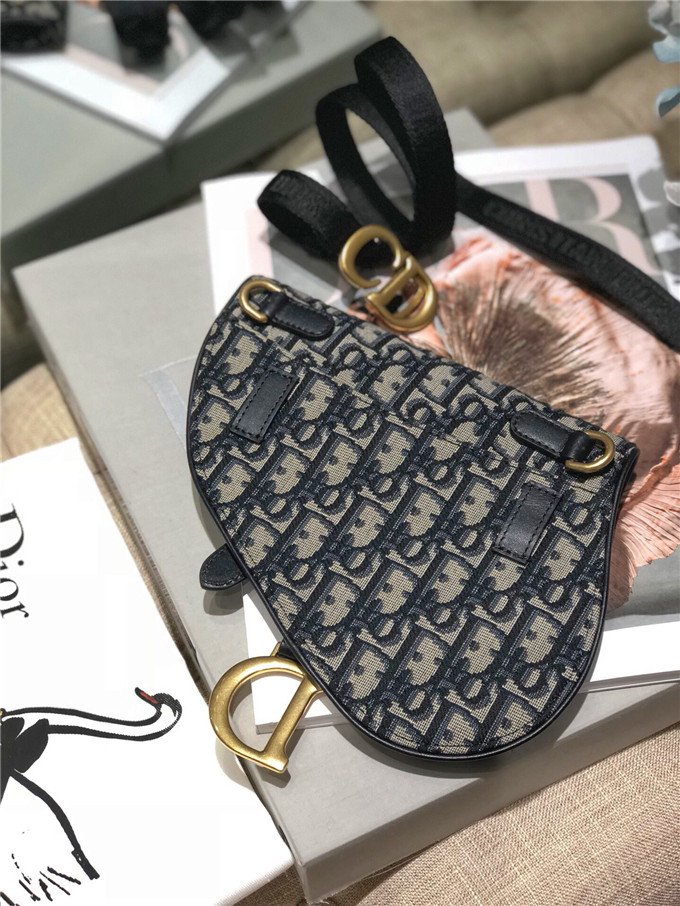 精仿Dior馬鞍腰包一比一迪奧女包addle 繫列時尚斜跨包 ￥1480.00的图片-高仿迪奧包包DIOR、高仿迪奧女包DIOR