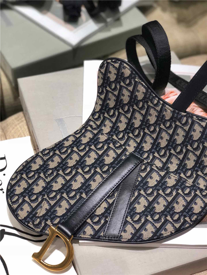 精仿Dior馬鞍腰包一比一迪奧女包addle 繫列時尚斜跨包 ￥1480.00的图片-高仿迪奧包包DIOR、高仿迪奧女包DIOR