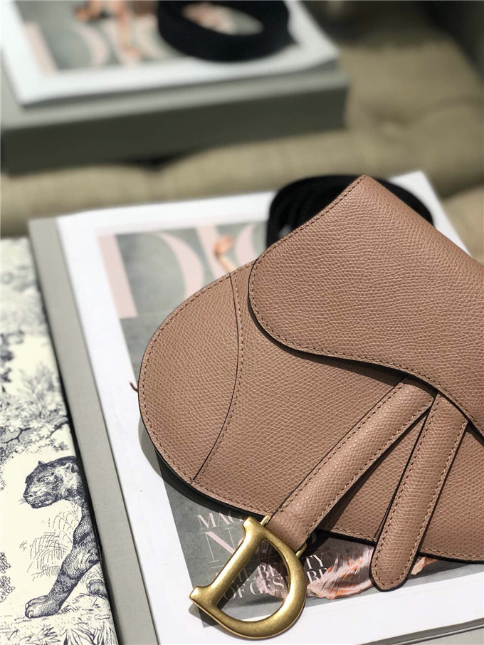 精仿Dior馬鞍腰包一比一迪奧女包saddle繫列手掌紋斜跨包豆沙粉￥1480.00的图片-高仿迪奧包包DIOR、高仿迪奧女包DIOR