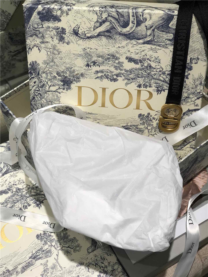 精仿Dior馬鞍腰包一比一迪奧女包saddle繫列手掌紋斜跨包豆沙粉￥1480.00的图片-高仿迪奧包包DIOR、高仿迪奧女包DIOR