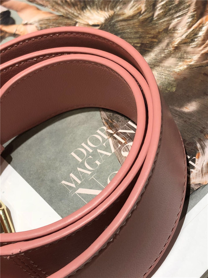 原單Dior戴妃包仿迪奧女士手提包小羊皮斜跨包新款4格徽章戴妃包糖果粉￥1680.00的图片-高仿迪奧包包DIOR、高仿迪奧女包DIOR