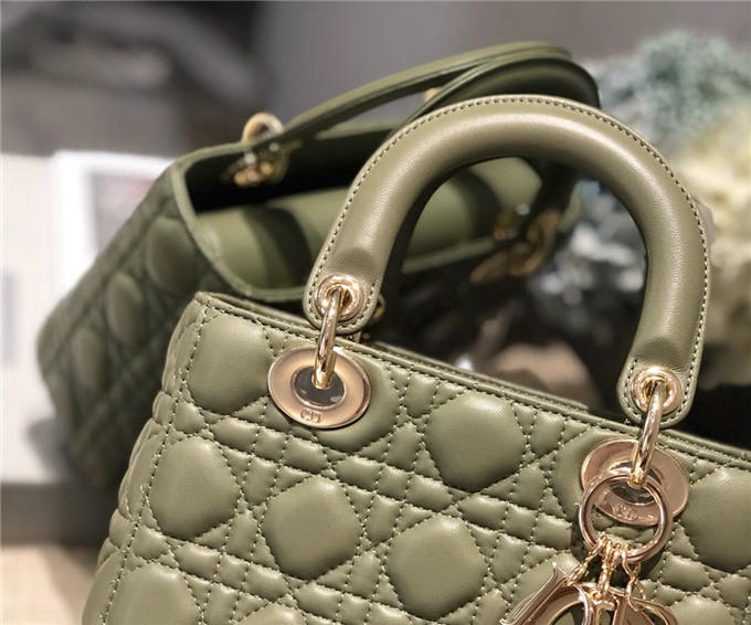 原單Dior戴妃包仿迪奧女士手提小包斜跨包新款4格徽章戴妃包抹茶綠￥1680.00的图片-高仿迪奧包包DIOR、高仿迪奧女包DIOR