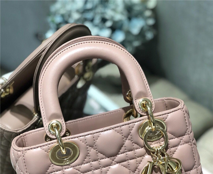 原單Dior戴妃包仿迪奧女士手提包小羊皮斜跨包新款4格徽章戴妃包豆沙粉￥1680.00的图片-高仿迪奧包包DIOR、高仿迪奧女包DIOR