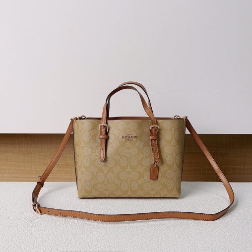 蔻馳小號尺寸托特包頂級原單包尺寸：25*19*12