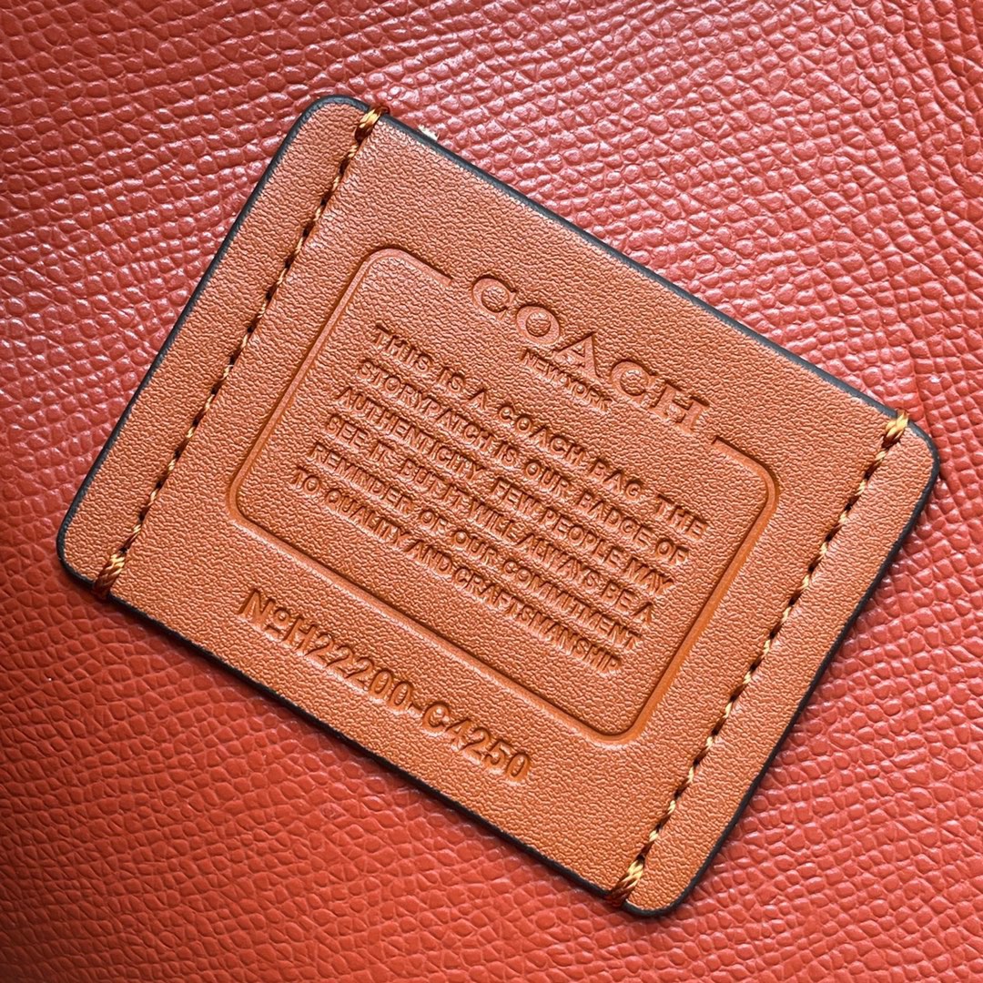 高仿蔻馳包P360 款號C4250 COA** 新款【 Mollie Tote 25 】 小號托特的图片-高仿蔻馳包包coach 高仿蔻馳包P360 款號C4250 COA** 新款【 Mollie Tote 25 】 小號托特的图片-高仿蔻馳包包coach