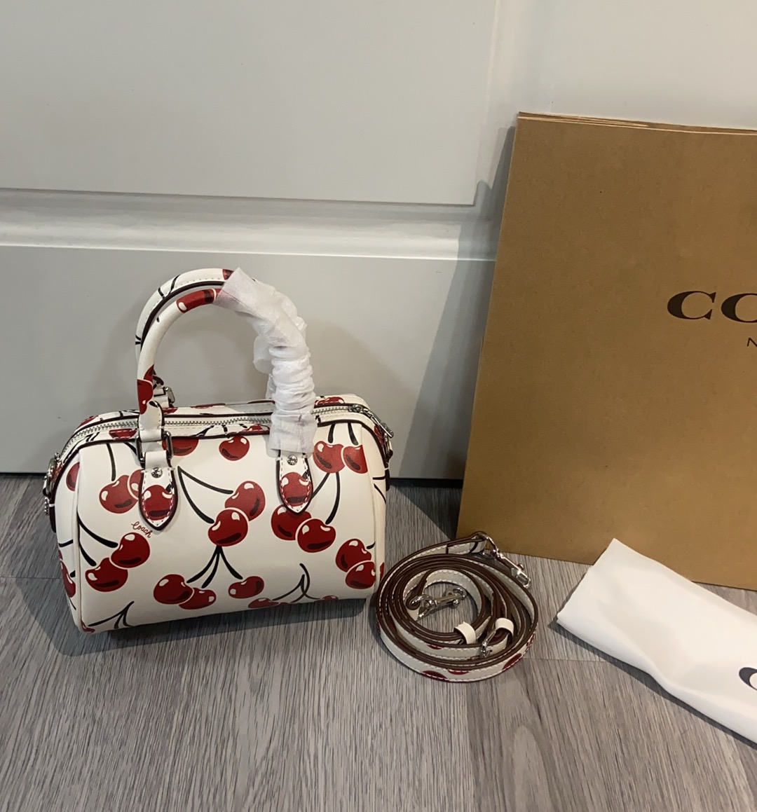 Coach蔻馳原單包包女包RowanPVC新波士頓水桶mini手提斜挎枕頭包的图片-高仿蔻馳包包coach