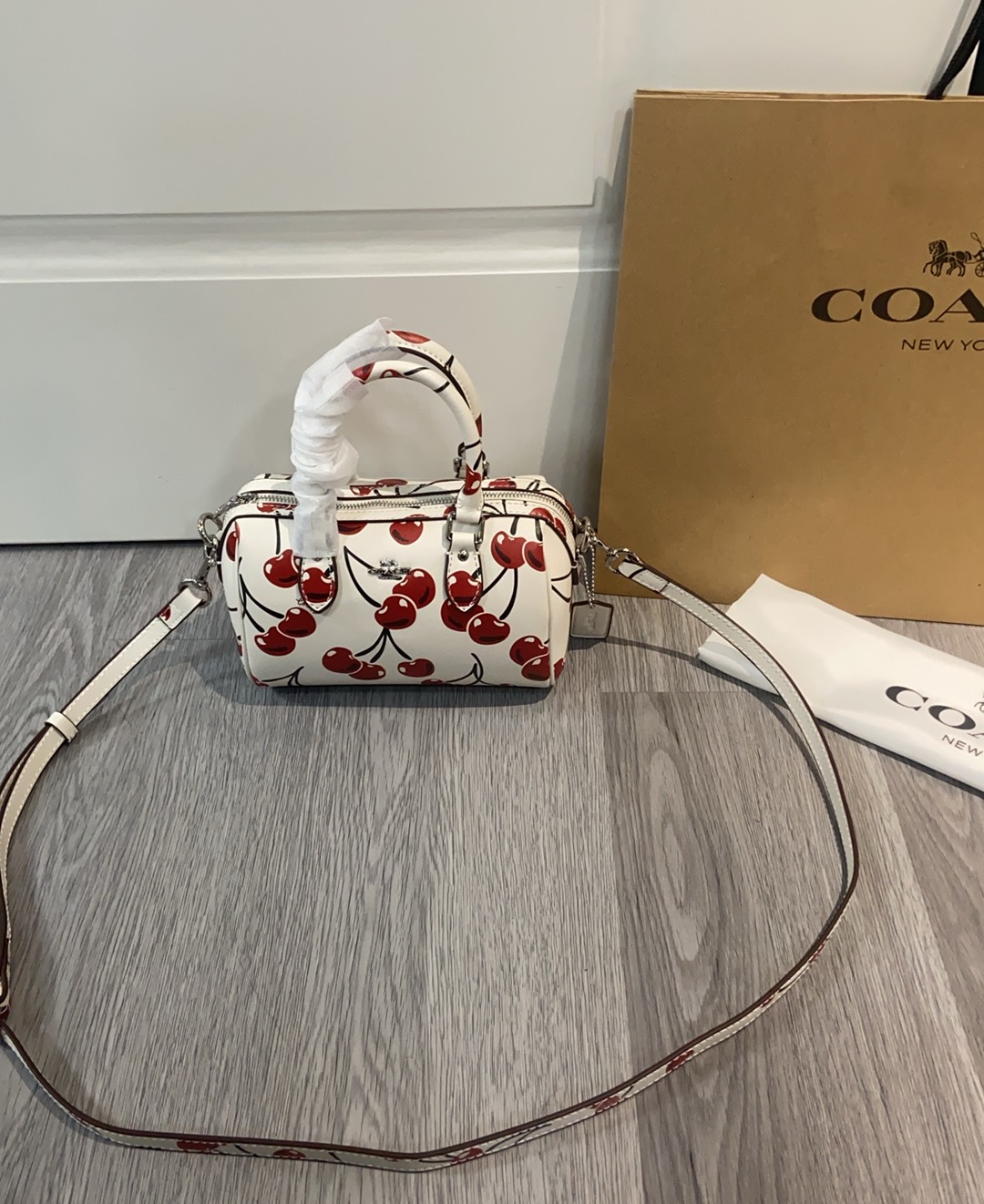 Coach蔻馳原單包包女包RowanPVC新波士頓水桶mini手提斜挎枕頭包的图片-高仿蔻馳包包coach