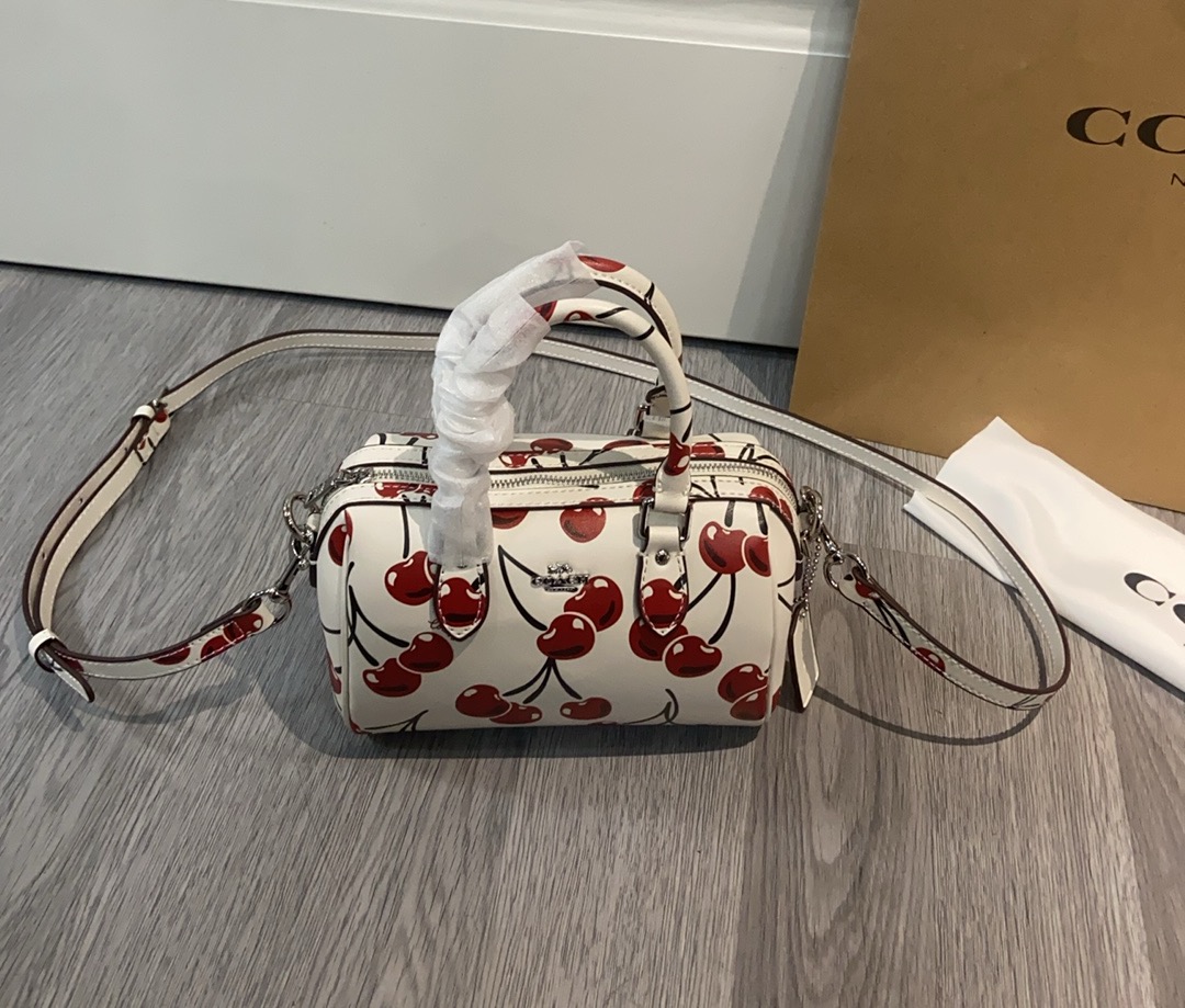 Coach蔻馳原單包包女包RowanPVC新波士頓水桶mini手提斜挎枕頭包的图片-高仿蔻馳包包coach