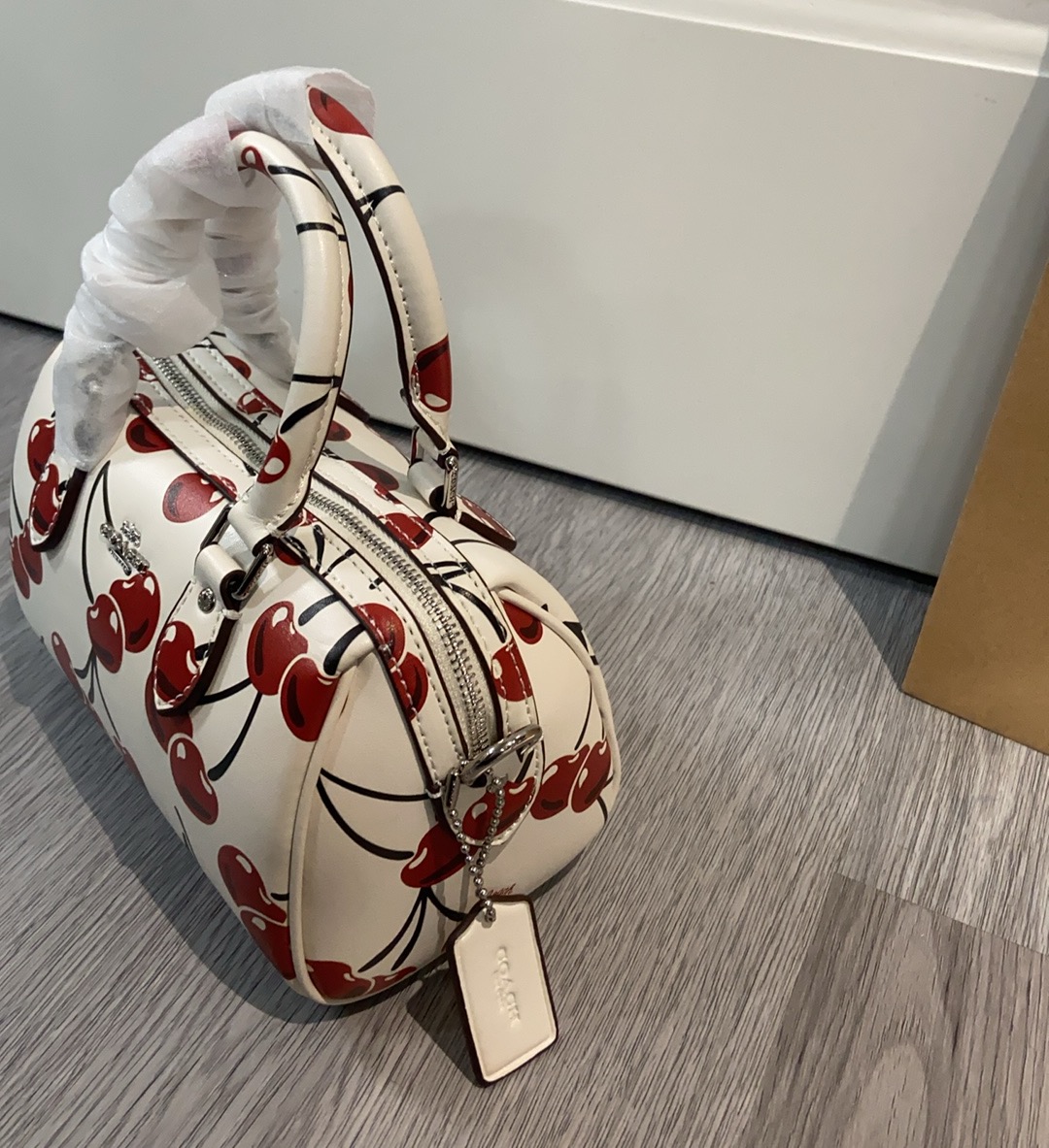 Coach蔻馳原單包包女包RowanPVC新波士頓水桶mini手提斜挎枕頭包的图片-高仿蔻馳包包coach