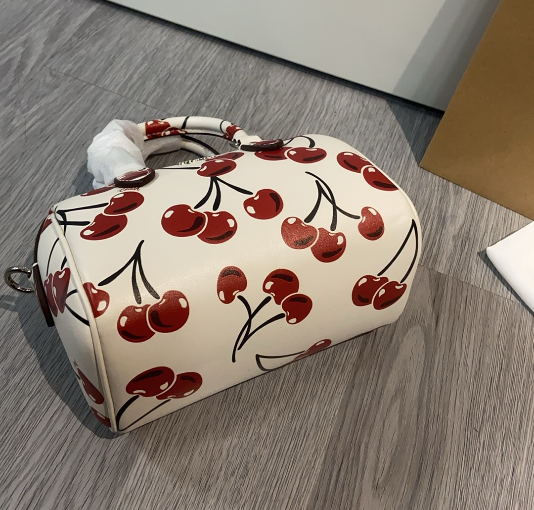 Coach蔻馳原單包包女包RowanPVC新波士頓水桶mini手提斜挎枕頭包的图片-高仿蔻馳包包coach