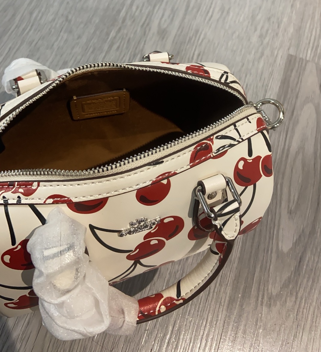 Coach蔻馳原單包包女包RowanPVC新波士頓水桶mini手提斜挎枕頭包的图片-高仿蔻馳包包coach